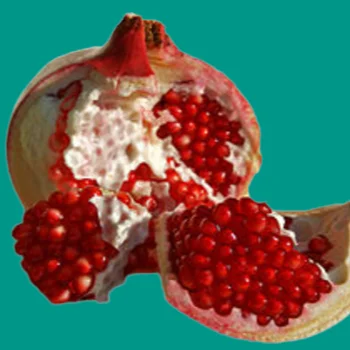 fresh pomegranate