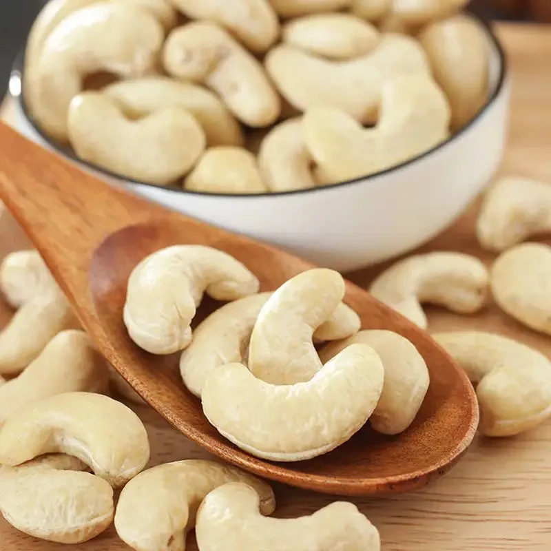 Premium Quality Raw Cashew Nuts  W320 W180 W240 W320 W450 Cashew Nuts at Competitive Prices