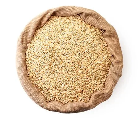 Первоклассные зерна солода ячменя для продажи ячменного зерна/солода потребления человеком оптовая цена