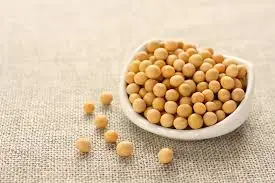 Factory Wholesale Organic Soybeans Non Gmo Soy Top Grade Yellow Soybeans For Making Tofu