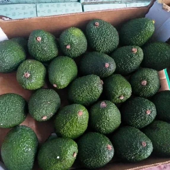 Pure Natural Fruit Spray Dried Avocado Fruit Powder Avocado Seed Powder Avocado Powder  at ug