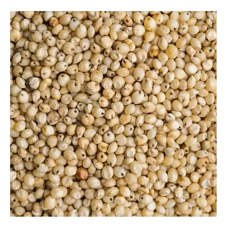 Non GMO, высокое качество, здоровая пища, сырое зерно в мешках, органические белые семена сорго