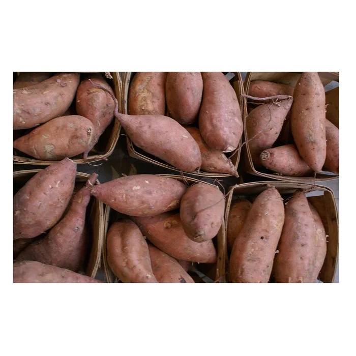 Top Quality Fresh Vegetables Sweet Potatoes For Sale At Best Price
