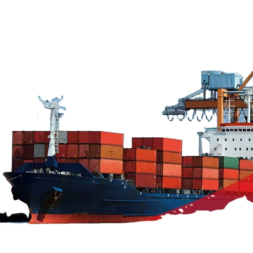 China professional 20ft container international sea freight forwarder to india by FOB/DDU/DDP without China warehouse rent