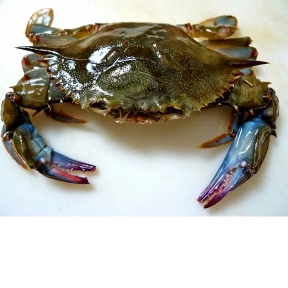 Bangladesh Indonesia Raw Fresh Seafood (90-110 gm/pcs) IVP 5 kg/ctn Whole Clean Frozen Soft Shell Crab