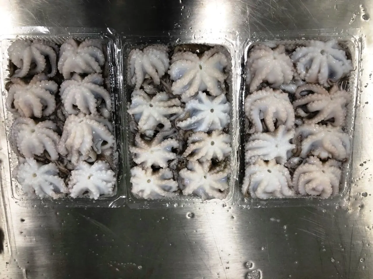 Лидер продаж 2022 оптовая продажа замороженный цельный осьминог очищенный из Вьетнама