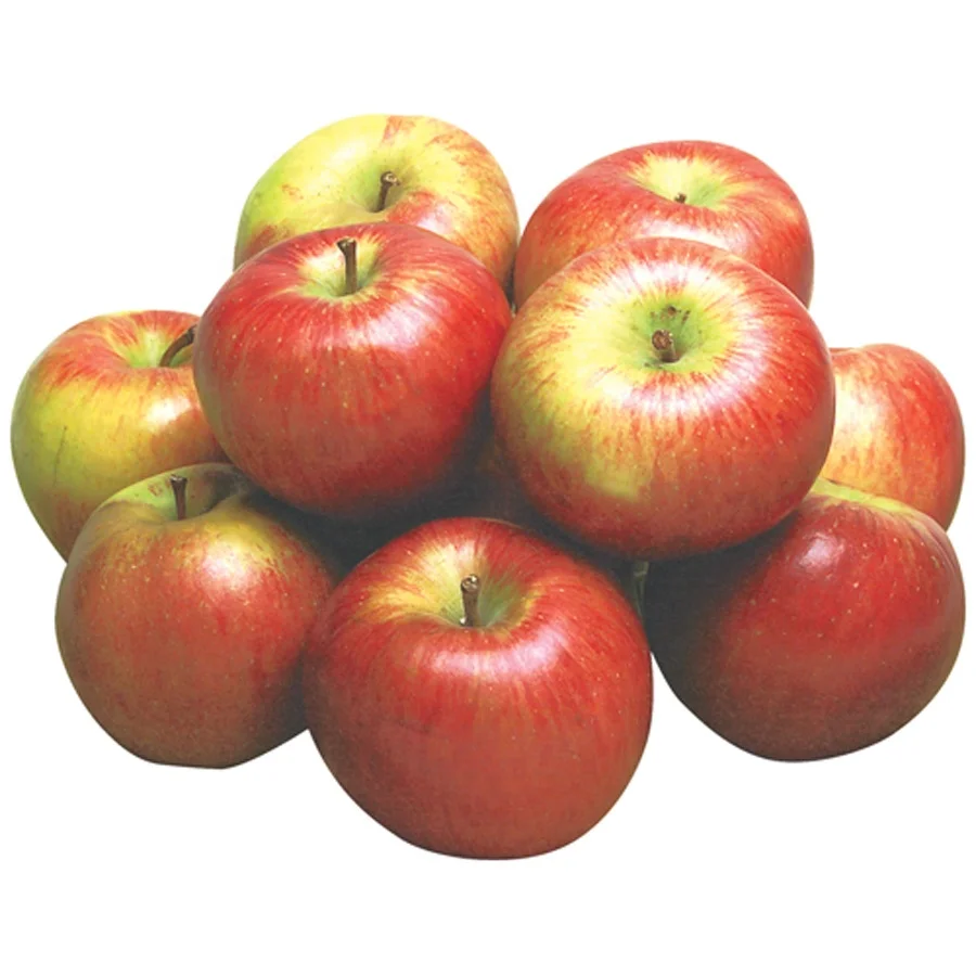 Wholesale Fresh Red Fuji Apple