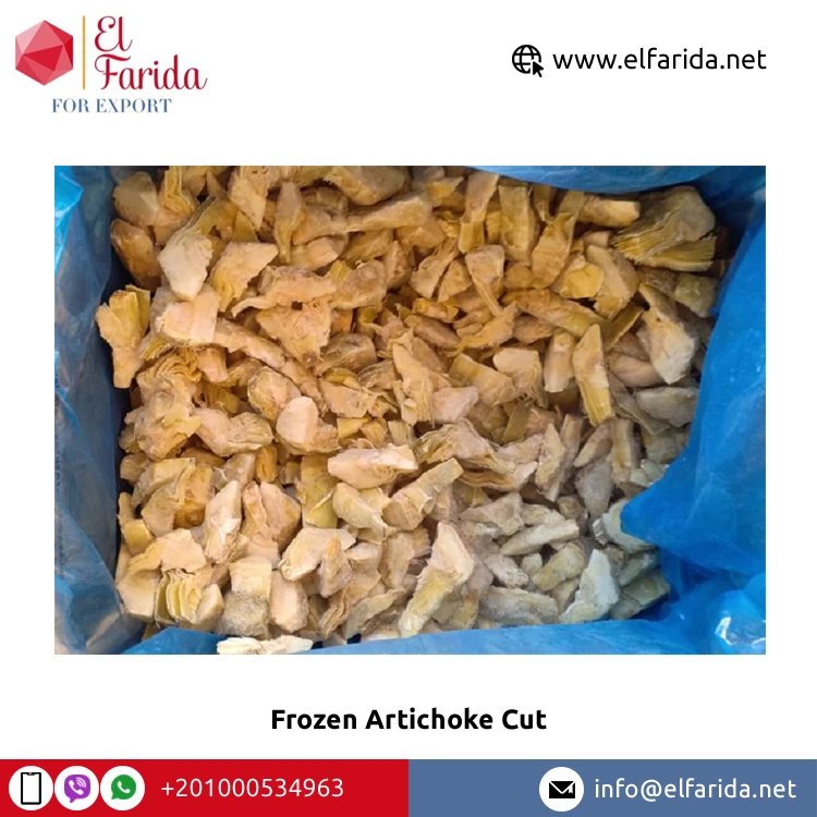 Top Selling Premium Grade Frozen Vegetables Artichoke Cut at Reasonable Market Price from Egypt Origin Exporter