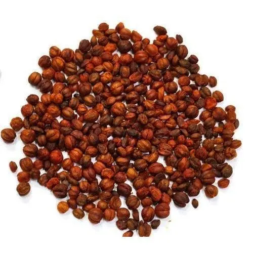 High Quality Natural Celastrus Paniculatus Seed Extract from India (THE ELITE HERBAL)