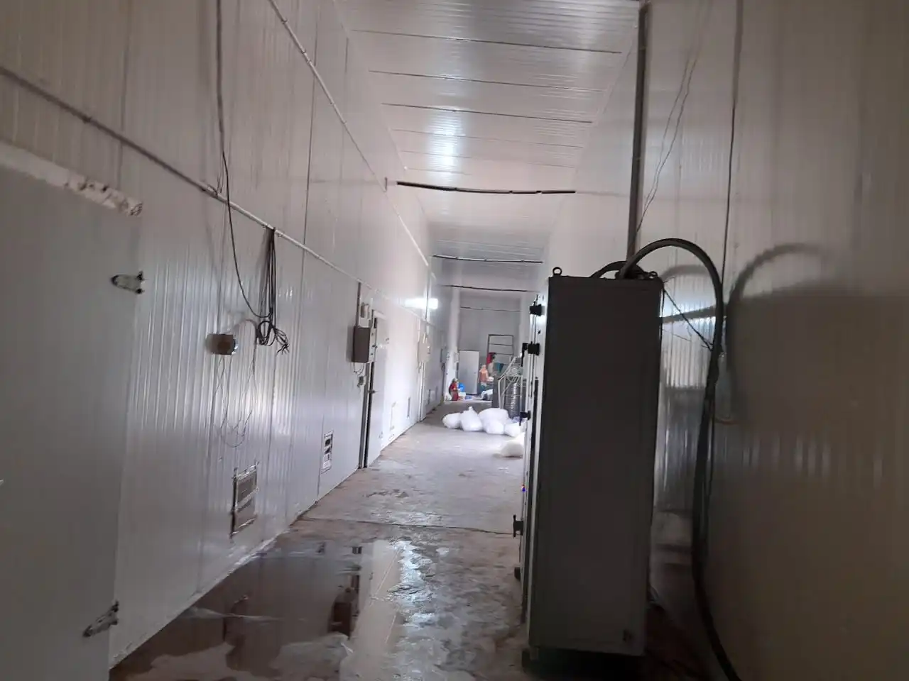 High speed mushroom fruiting chamber buy diy mushroom fruiting chamber automated mushroom fruiting chamber