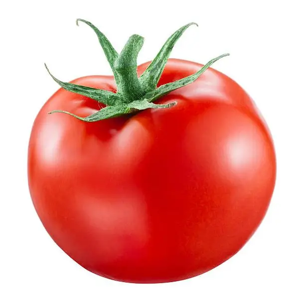 Top Selling Red Color Fast Shipping High Quality Export Orined Direct Factory Wholesale Cheap Price Tomato From Bangladesh