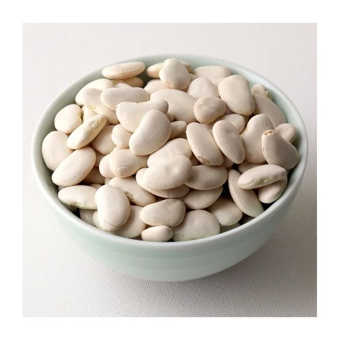 Wholesale Price Supplier of Large Lima Beans Bulk Stock With Fast Shipping