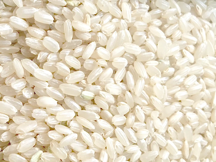 MEDIUM GRAIN / CALROSE / CAMOLINO RICE FOR BEST OFFER.