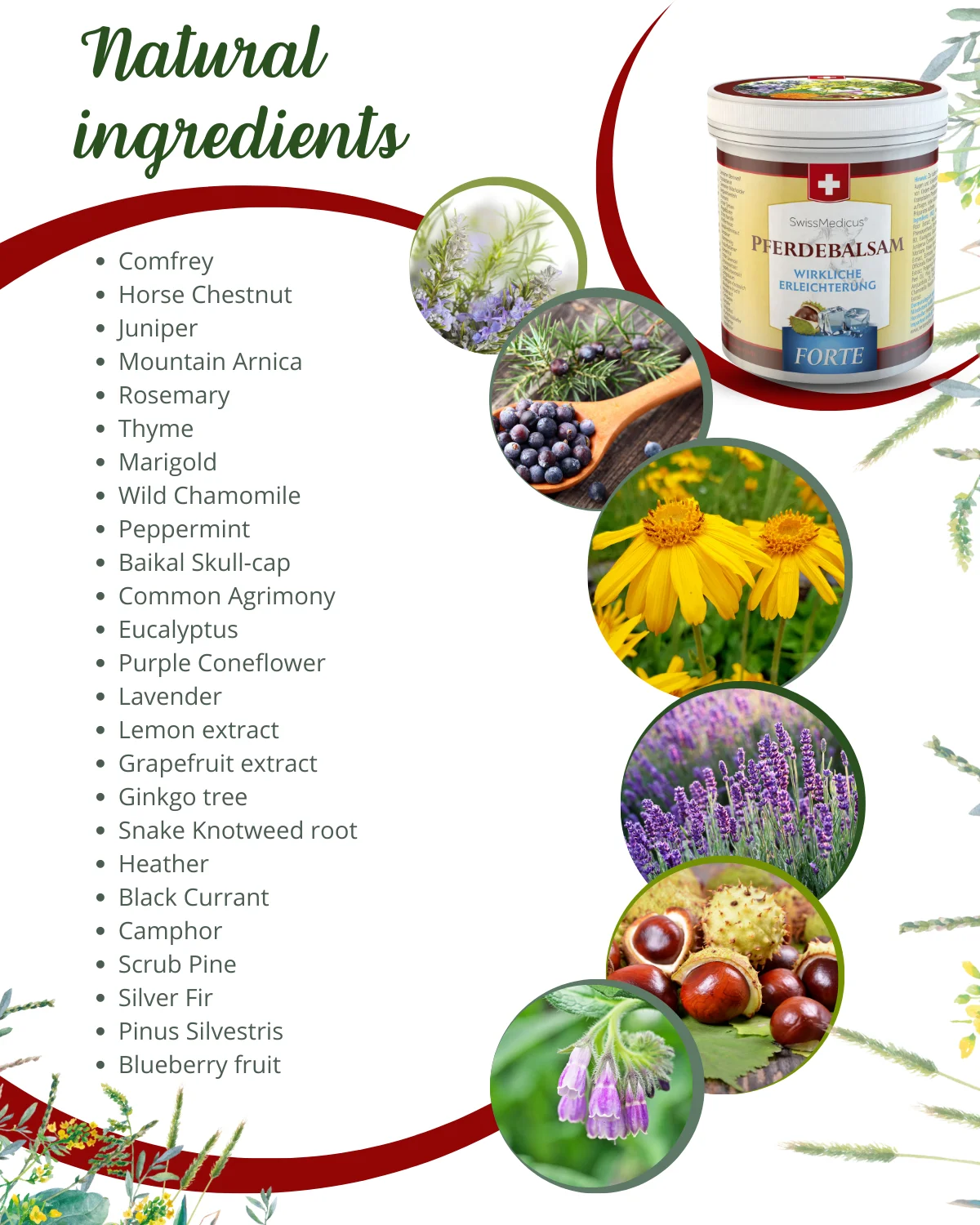 Amazon Best Seller SwissMedicus Pferdebalsam FORTE extra strong cooling, relief for heavy legs, Swiss quality, Menthol 500 ml