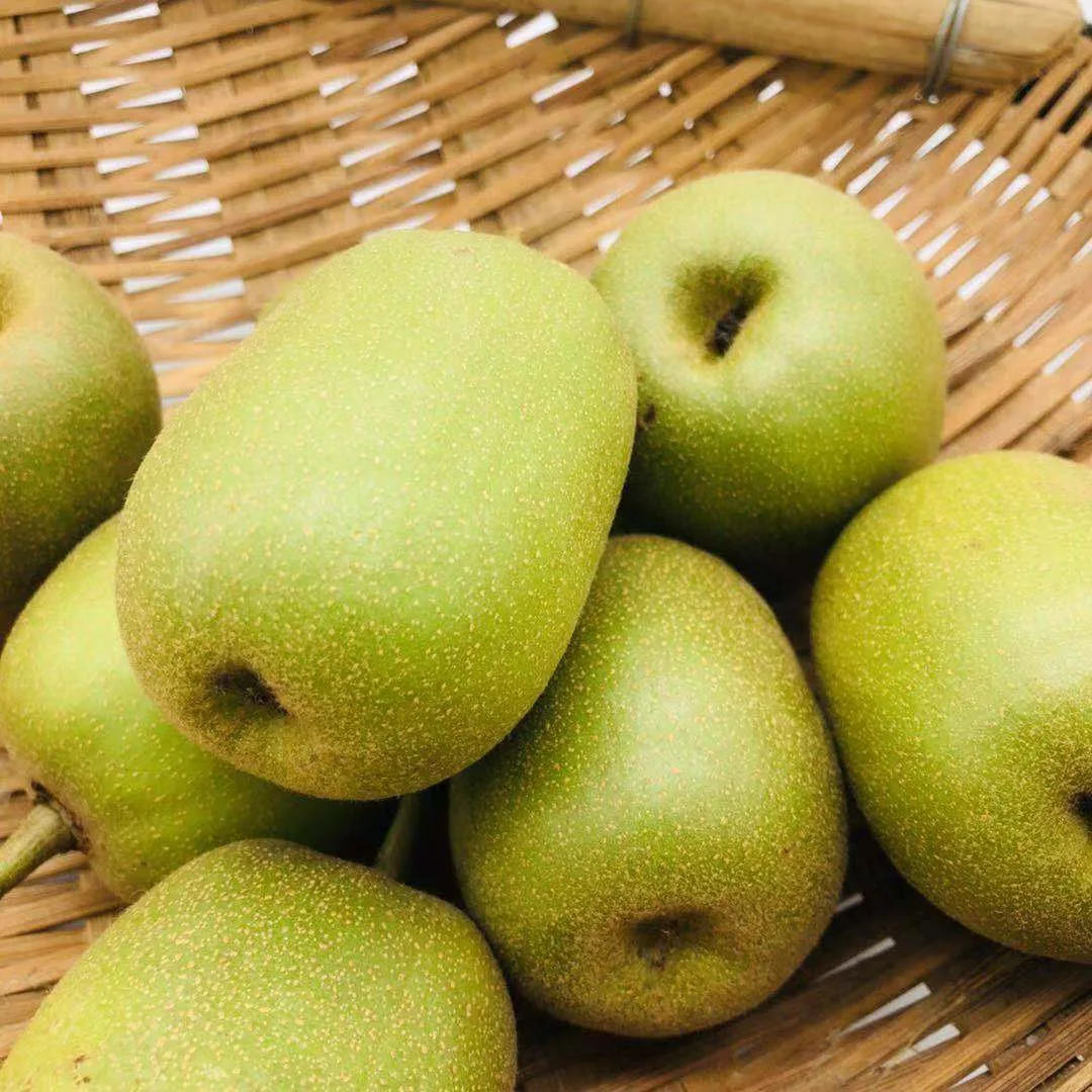 Качества продукт IQF замороженный ломтик киви