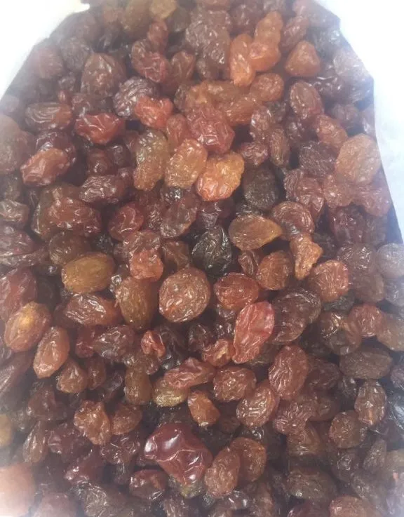 Wholesale Natural Organic Top Grade Brown Raisins Bulk Dried Raisins Dried Fruit From Uzbekistan