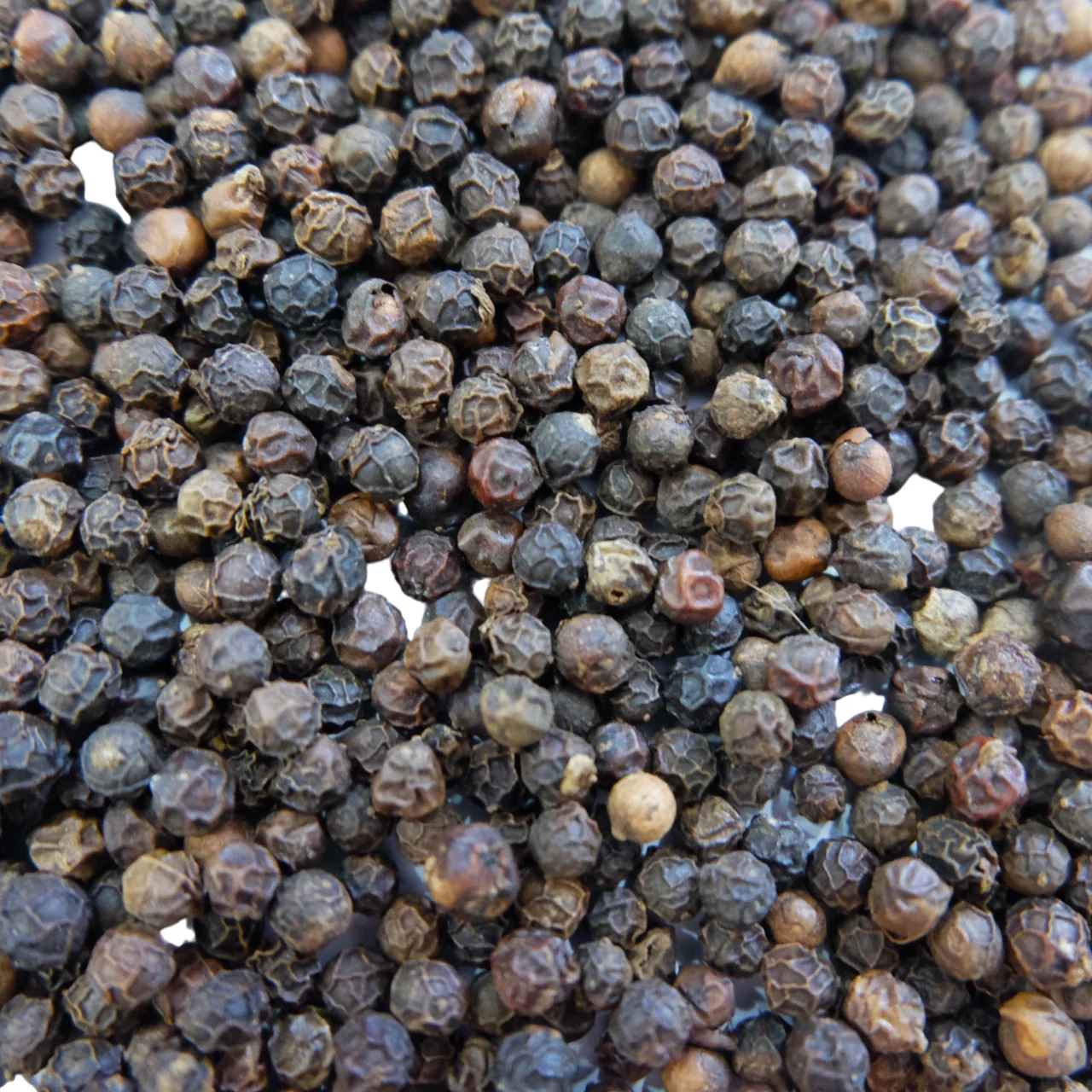 Vietnam Spices Black Pepper 500, 550, 570, 580g/L Asta Standard Great Taste Black Pepper For Exporting