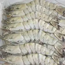 Высококачественные тигровые креветки Jumbo Prawn Black Tiger