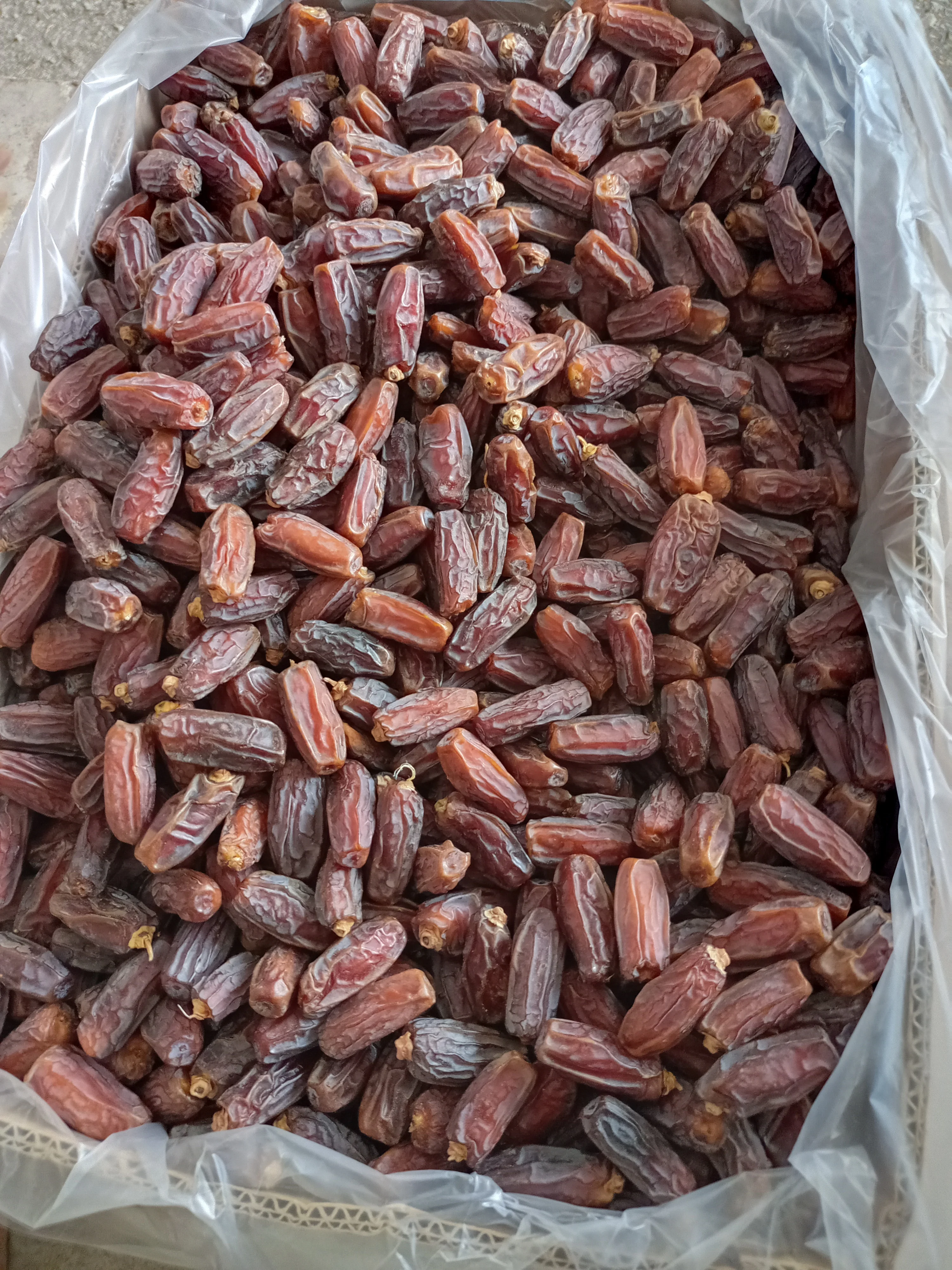 Mabroom dates for high and quick sales Ye Zao Yezao Dates for China Market from Saudi Arabia top grades competitive prices
