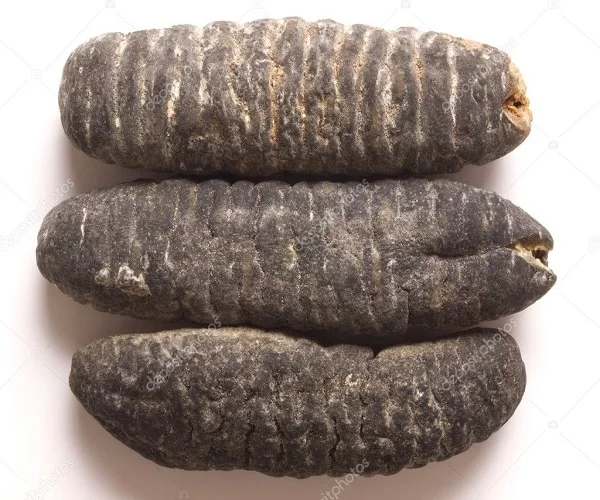 Dried Sea Cucumber/ Cucumber/ dried cucumber