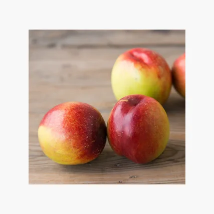 Свежие персики и нектарины