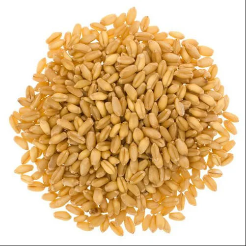 First Grade Animal Feed Wheat 50 Kg Bag Packaging Wheat Seeds Cereal Grain Germany