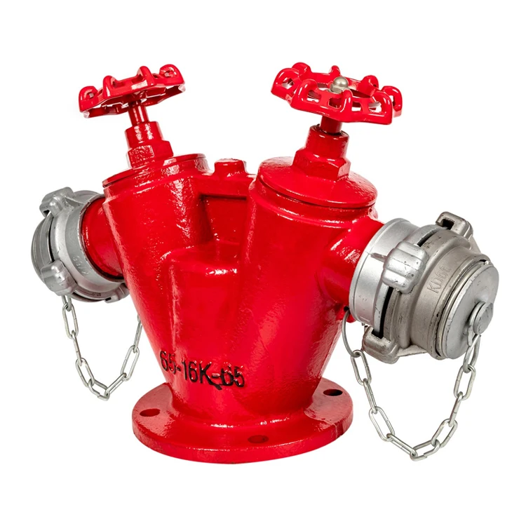 China Factory Fire Fighting Equipment DN65 Fire Hydrant Double Outlet Fire Hydrant