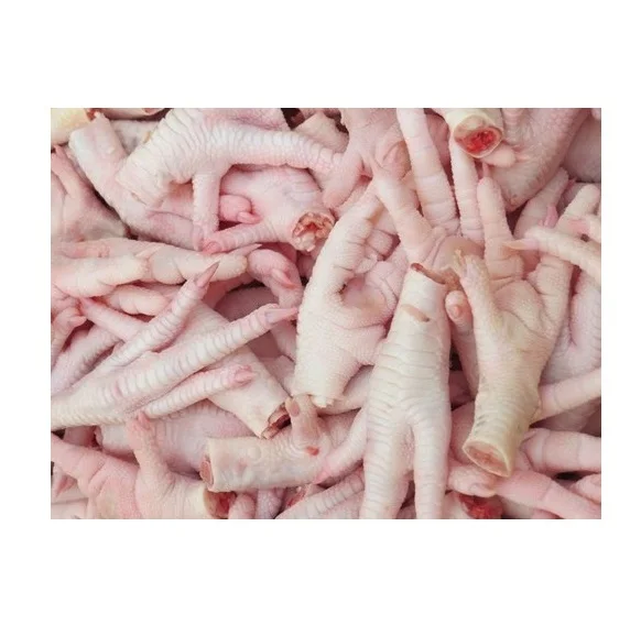 Bulk Stock Available Of Halal Frozen Chicken Feet | Frozen Chicken Meat At Wholesale Prices