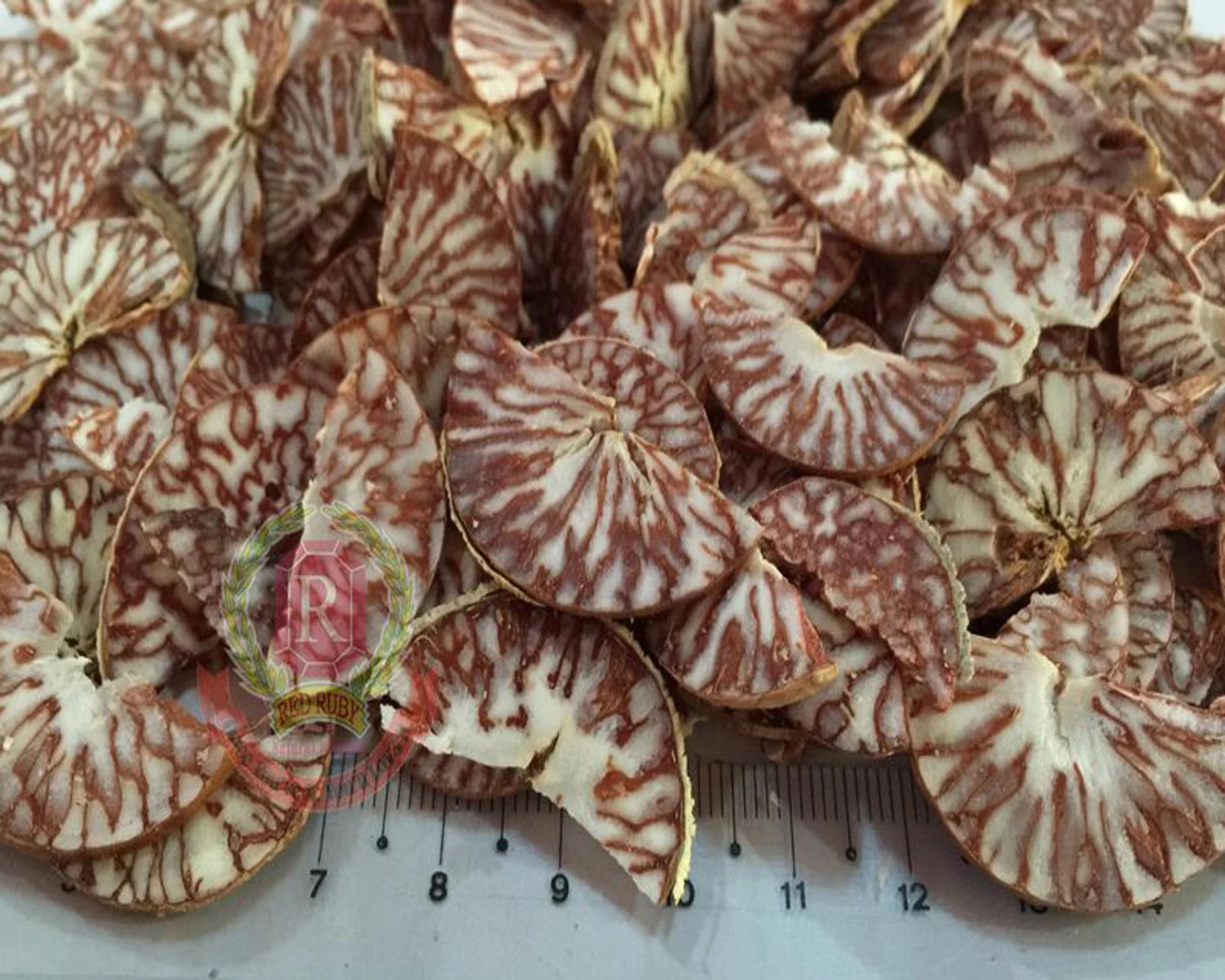 BETEL NUTS (MOON CUT)