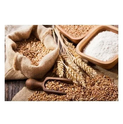 custom wheat flour packing bags 50kg 25kg 10kg 5KG