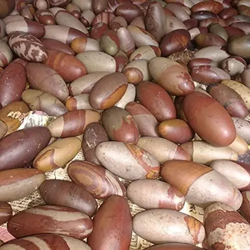 Narmada Shivling 3pcs Spiritual Gemstone Religious Shiva Lingam 11pcs Stone Shivling Collection