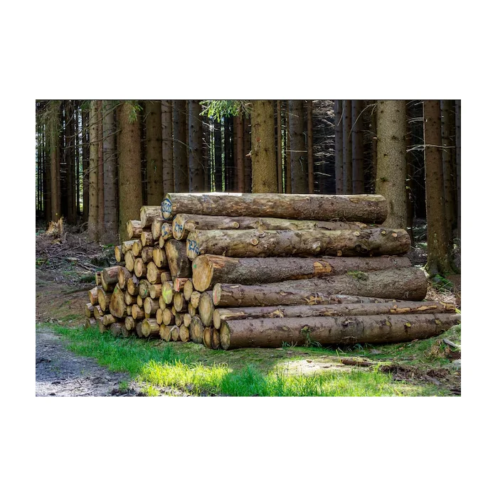 Kiln-Dried Seasoned Spruce Oak Pine Teak Walnut Round Logs-Diverse Hardwood Timber for Furniture Including Eucalyptus Wood