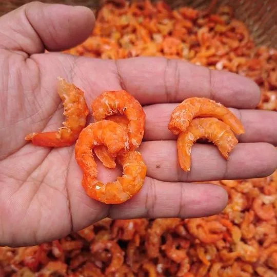 Vacuum Pack shrimp food dried shrimp Freeze dried Shrimp in Viet Nam