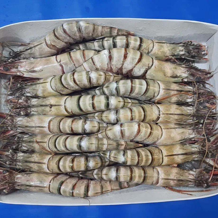 Frozen Seafood Of Tiger Prawn From Thailand Sea From 10 To 25 Kg With IIQF/BQF, And Master Cartoon Packing