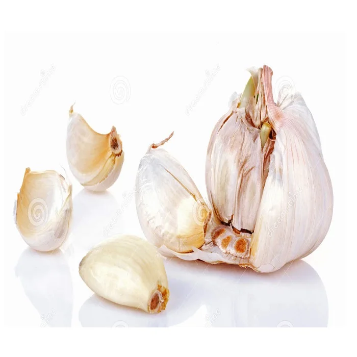 Thailand Best Wholesale Fresh Garlic Ginger Onion Price -new crop, high quality for export well.