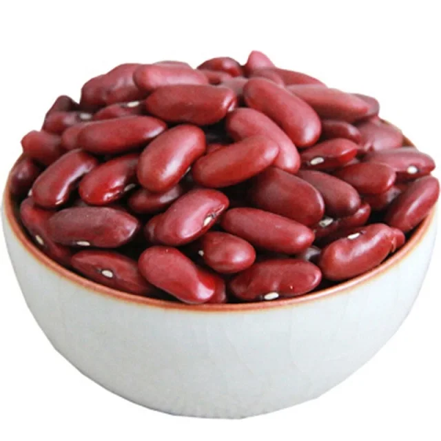 Wholesale Hot Selling Natural White Beans White Sugar Bean New Crop Organic White Kidney Beans Export
