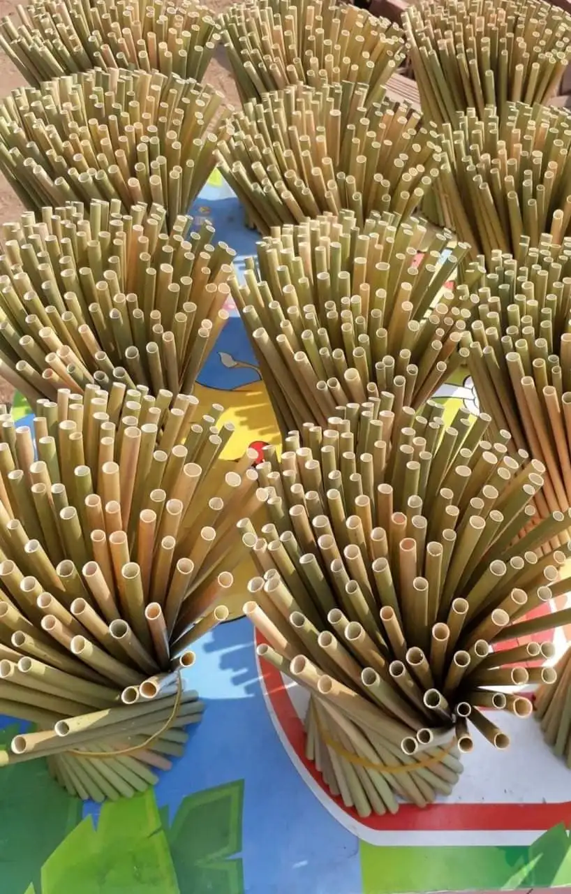 DRIED GRASS STRAWS Eco friendly Grass Straws Pasta Drinking Biodegradable Disposable Straws