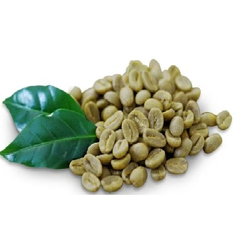 Лучший продукт robusta зеленые кофейные зерна оптовая продажа натуральные объемные Зеленые кофе из Вьетнама бестселлер срок годности 2 года