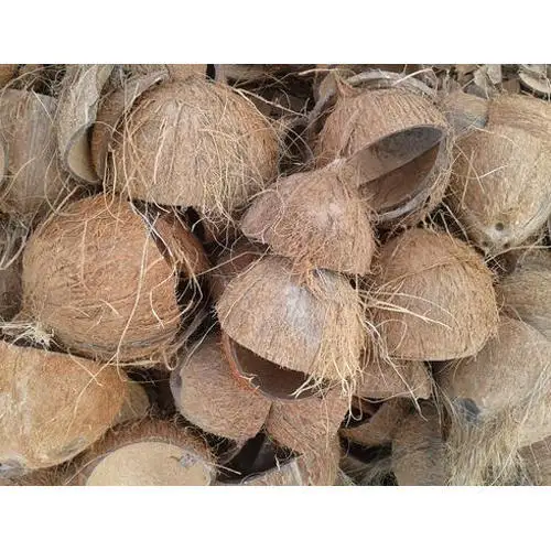 coconut shell  carbonized coconut shell natural coconut shell