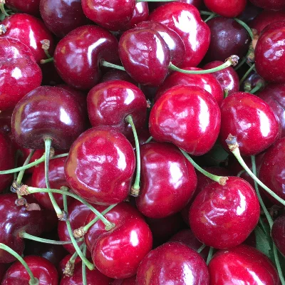 Quality Natural Taste Red Farm Fresh Cherries for sale available all over