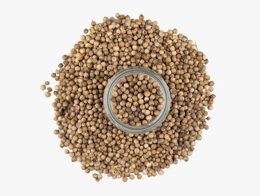 Organic Coriander Seeds