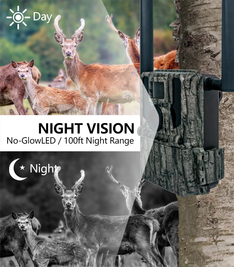 KW897 wildlife forest camera trail Wireless Dual-Antennas Hunting 4G Night Vision Remote Control Waterproof 2K Video  SD Memory