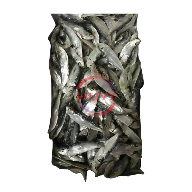 Wholesale Indian Mackerel Nature Fast Delivery Herring Fish Dry Herring Sea Food Factory Price OEM Service Made In Vietnam