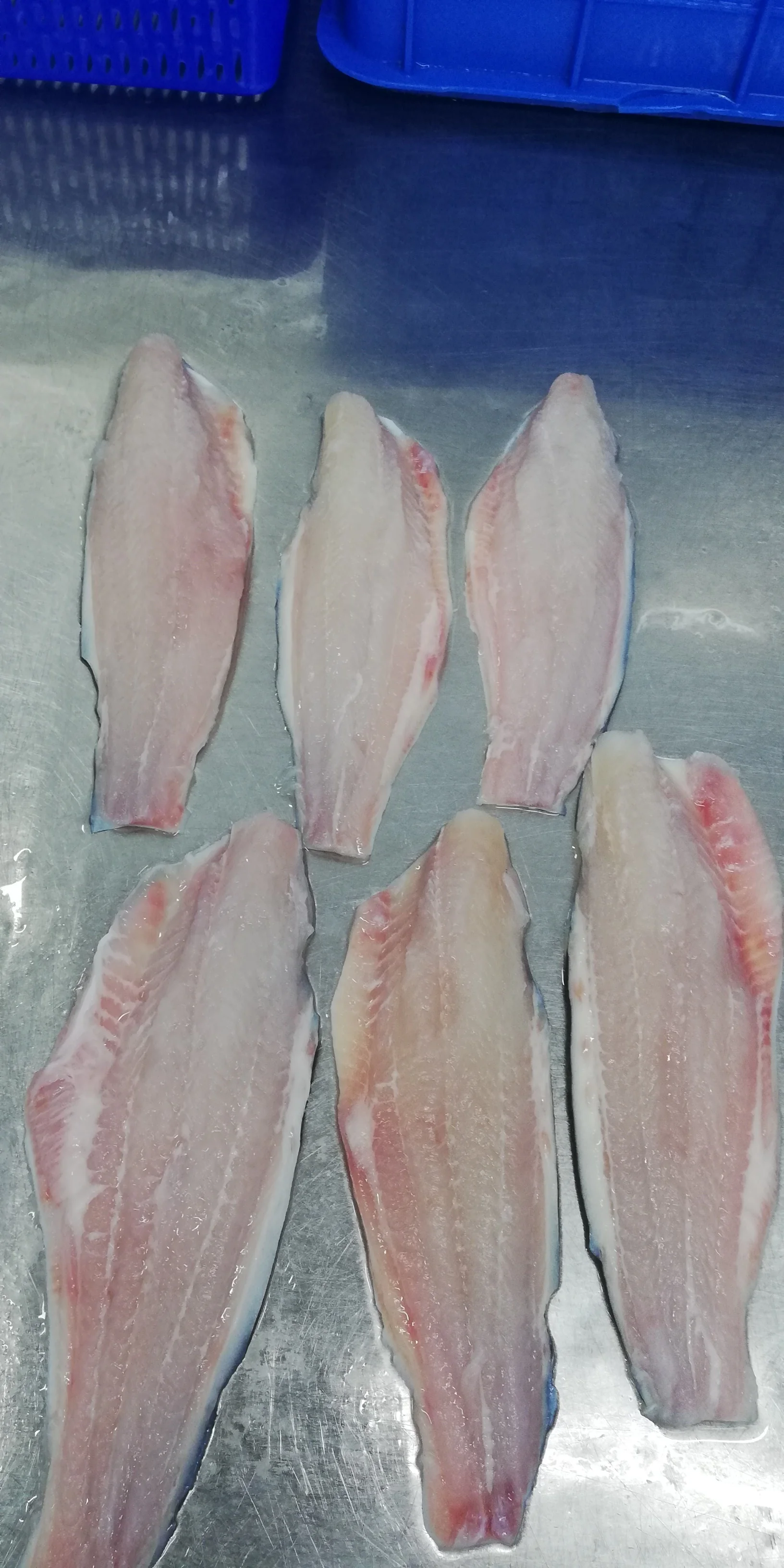 Vacuum Pack Supplier Part Style Best Price Negotiation Support frozen pangasius fillet price Pangasius from Vietnam