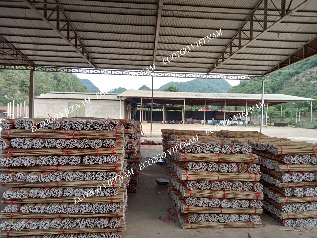 Raw Sustainable Bamboo Garden Stakes Ideal for Plant Support in Agriculture, Made in Vietnam