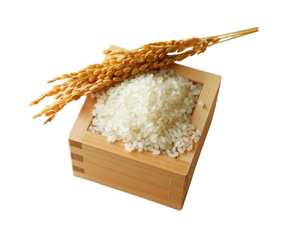 INTERNATIONAL STANDARD Low Price Premium Tasty  Short Grain White Rice Wholesale  Packing OEM 25kg