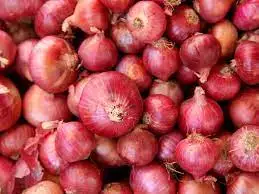 Super Quality vegetables Red Onion for Cooking Food Available at Wholesale Price from Indian Exporter