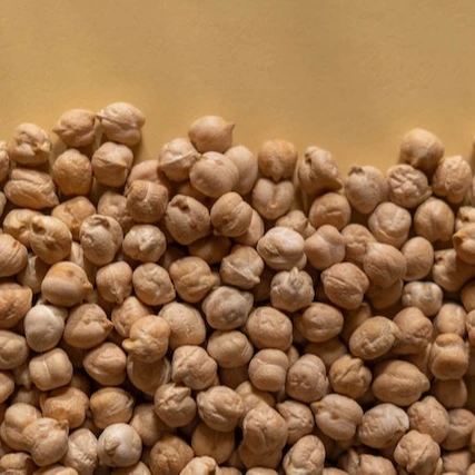 Dried Chickpeas High Quality Wholesale Manufacturer Turkish Origin Natural Supplier Legumes