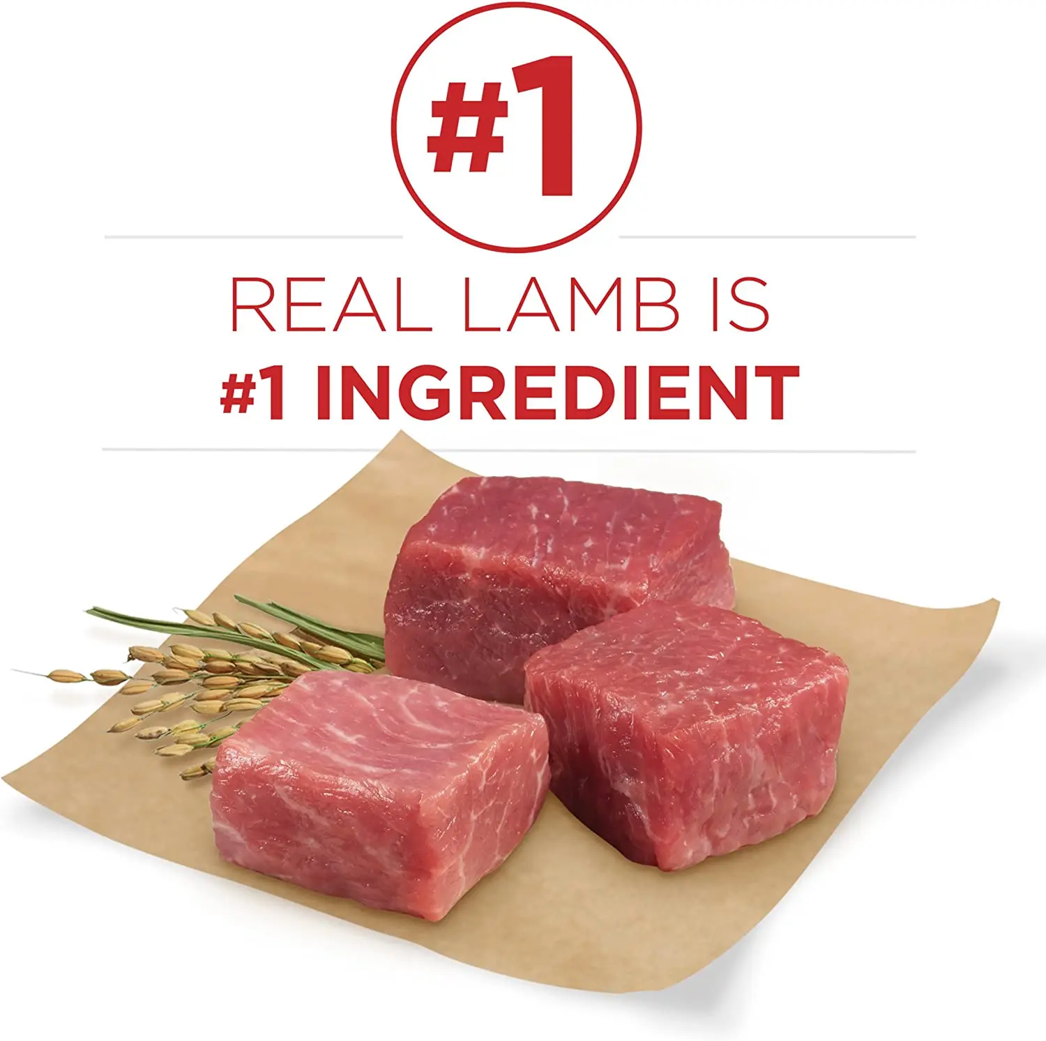 buy wholesale Purina ONE Natural Dry Dog Food, SmartBlend Lamb & Rice Formula