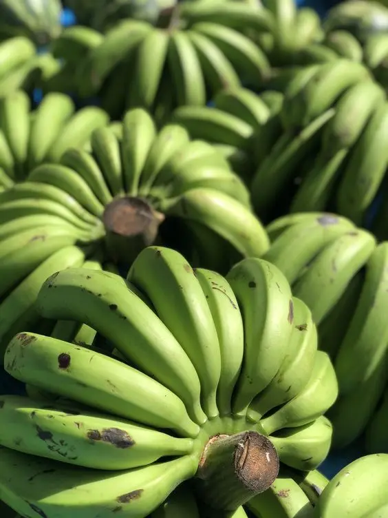 Ensure customer satisfaction with our premium Fresh Bananas, a hallmark of quality and affordability.